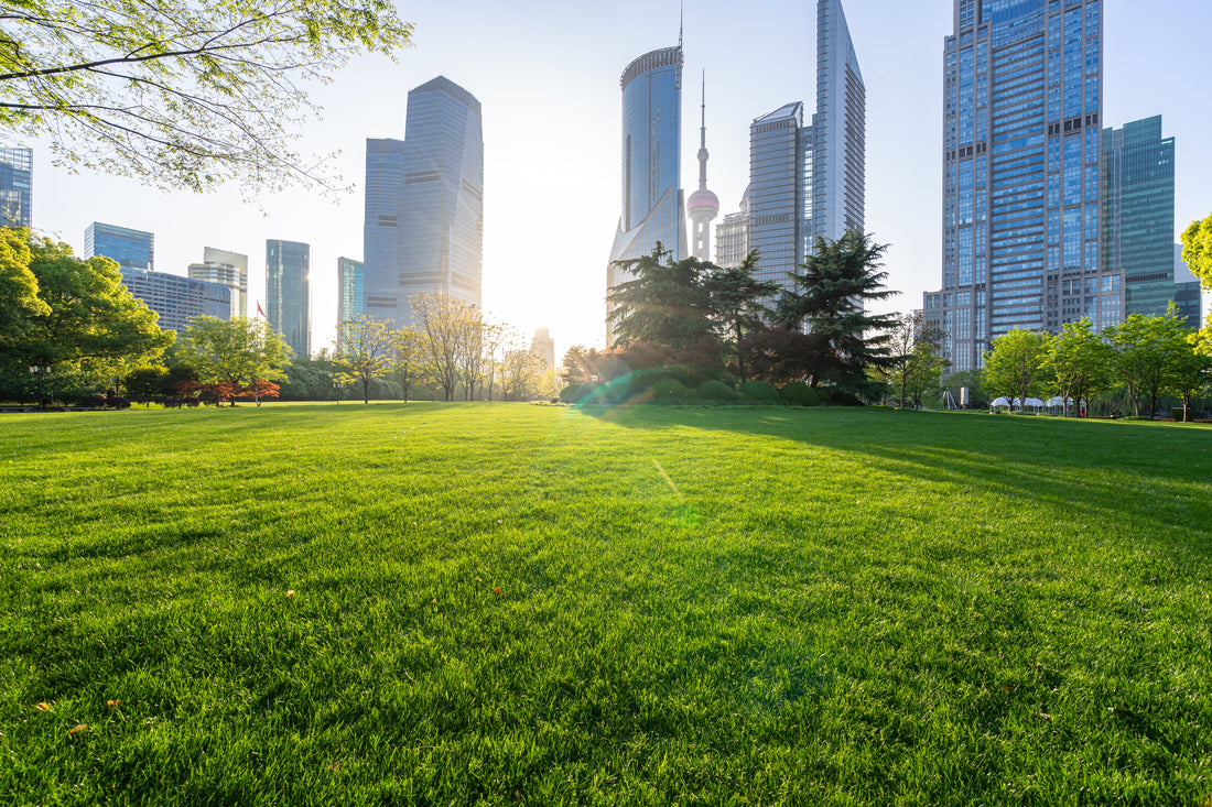 Quick 1-Minute Guide: Branding, Strategy &amp; Experience (Part 3 — Photography Series)