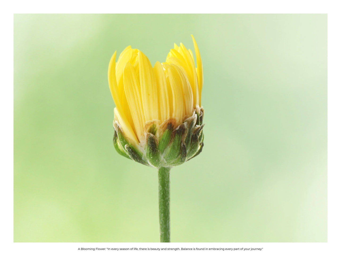 Wellness Media Poster – “You Are Loved” (Bilingual) | Digital Download