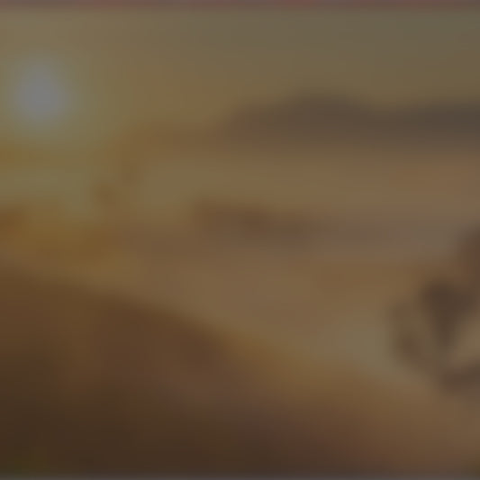 “Morning Mercy” Gospel Tract (Lamentations 3:22–23, Sunrise Theme)